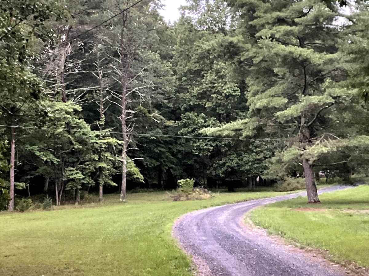 McDaniel Drive photo 2