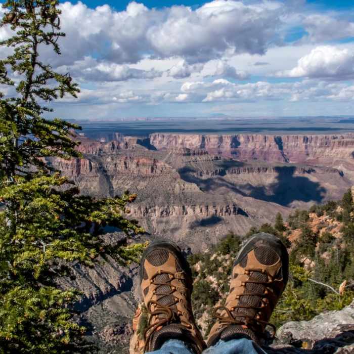 Near Cape Final Trail