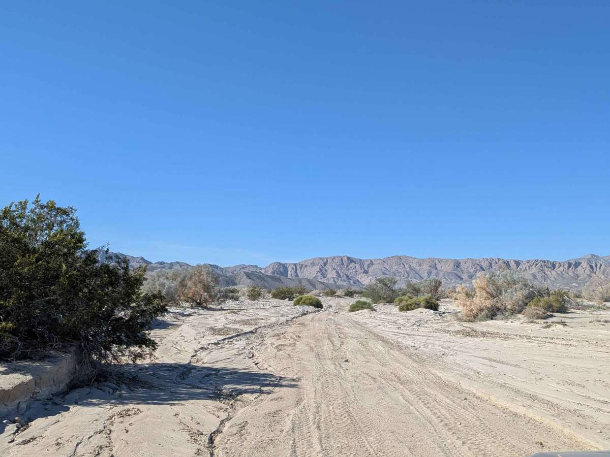 BLM 081 photo 2