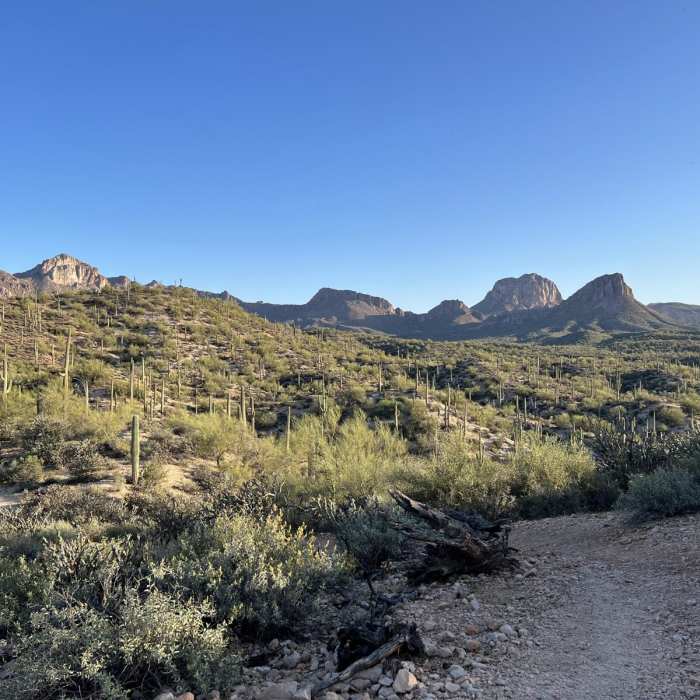 Near Arizona Trail Passage 16: Gila River Canyons