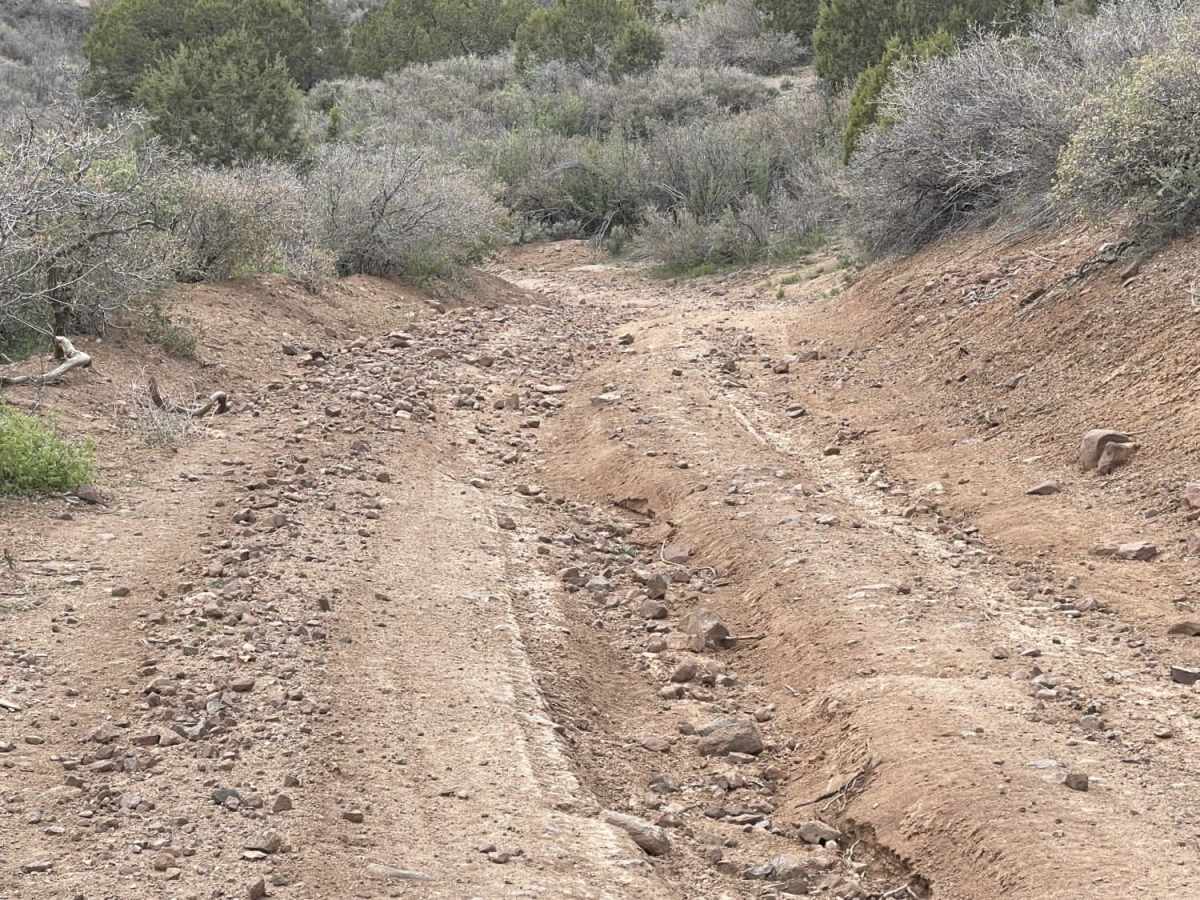 East Fork of Beaver Dam Wash photo 4