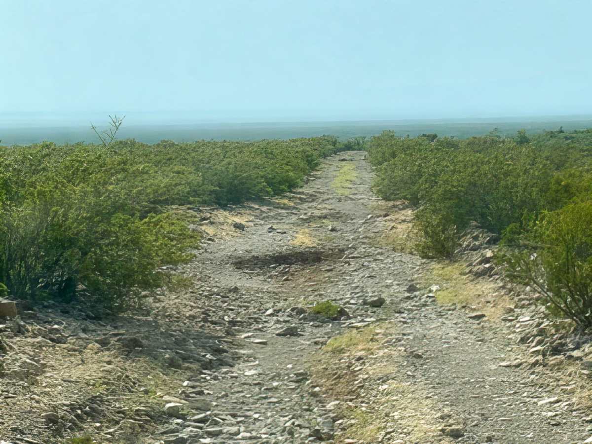 SS1156 photo 2