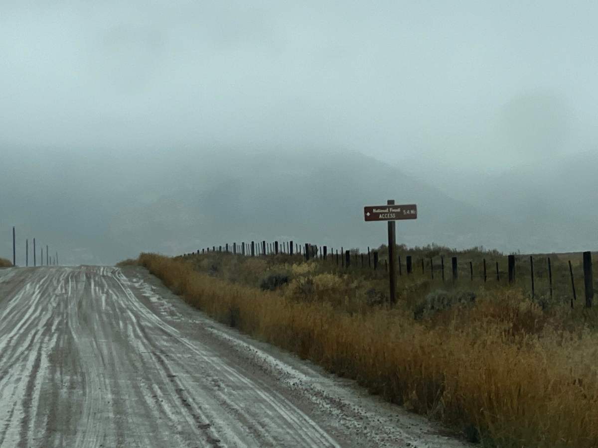 Cottonwood Pass photo 4
