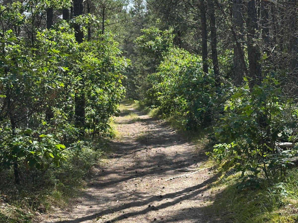 Pierce Road photo 3