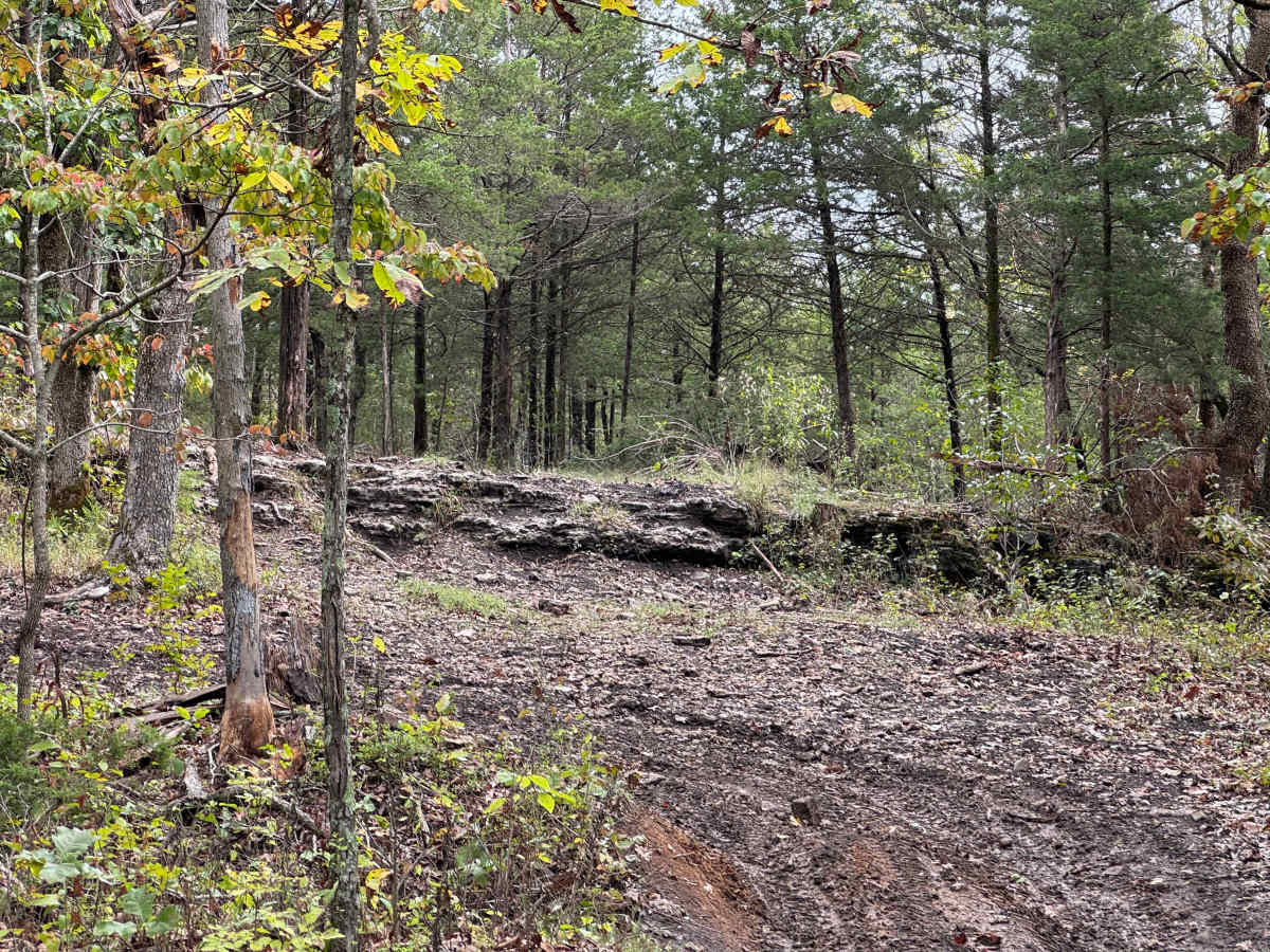 Twin Steps photo 3