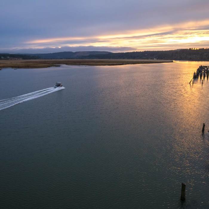 Near Oregon Coast Trail Section 8