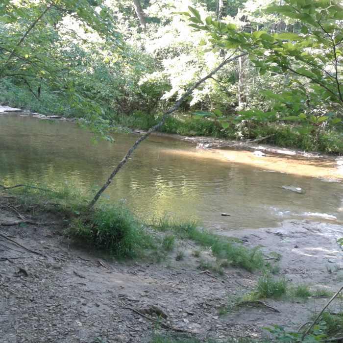 The trails fork at Gans Creek. If you're doing the Shooting Star Loop, do not cross. Crossing here connects to the Wagonwheel Trailhead. Near Shooting Star Trailhead Loop