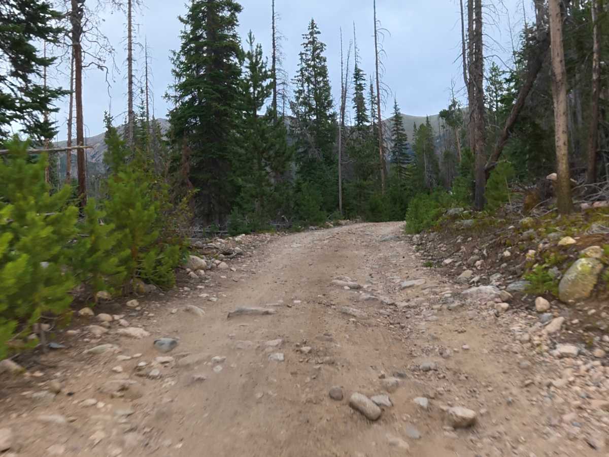 Ruby Jewel Road South photo 5