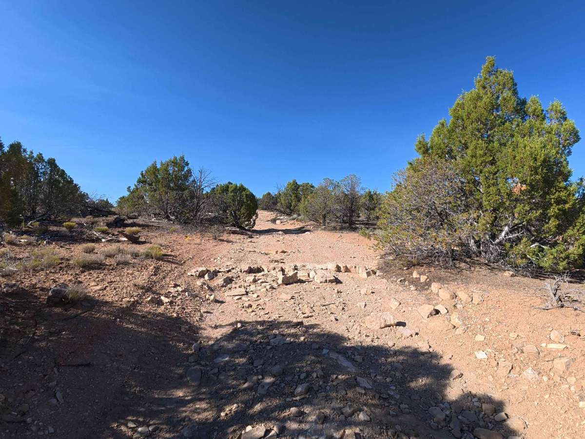 Ben Lowe Road - BLM 860 photo 3