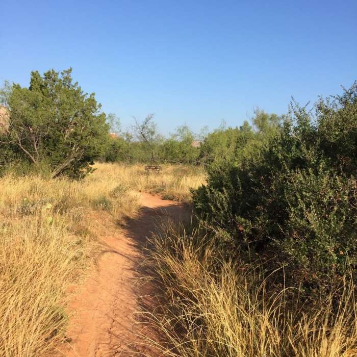 Beginning the trail Near Juniper/Cliffside Trail