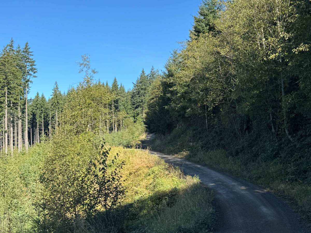 Walker Valley Mainline trail photo