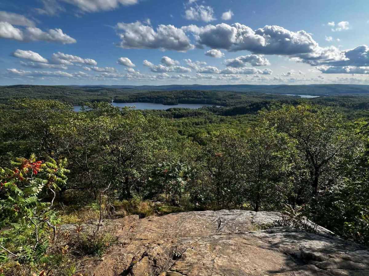 Tom's Scenic Lookout photo 5