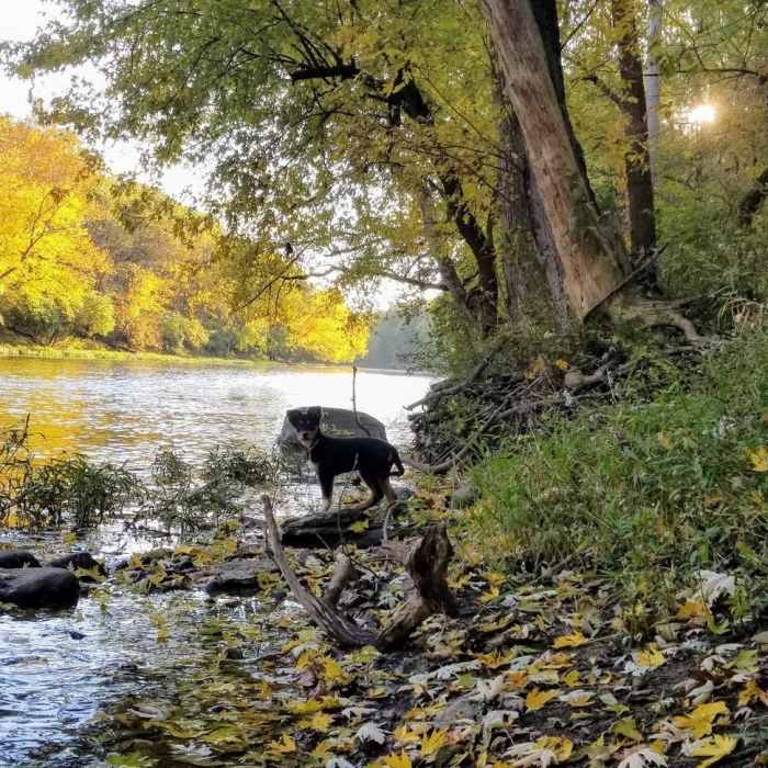 River in autumn Near Kyle Park Horse Trail Loop