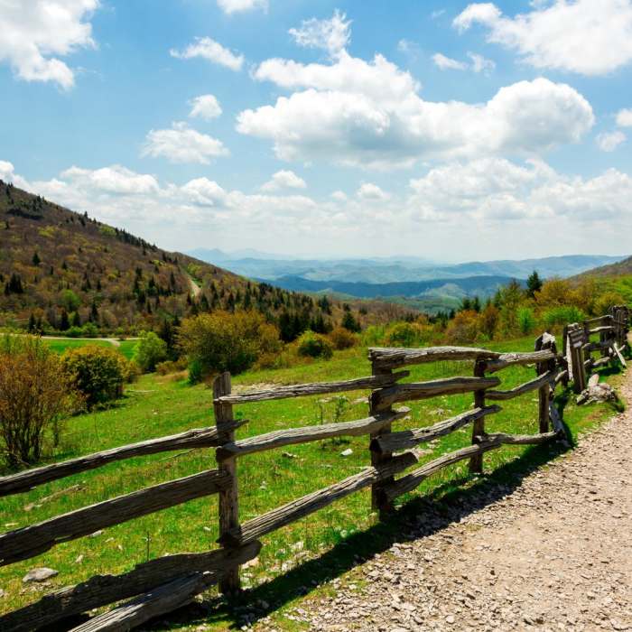 Near Massie Gap to Mt Rogers Summit Out and Back