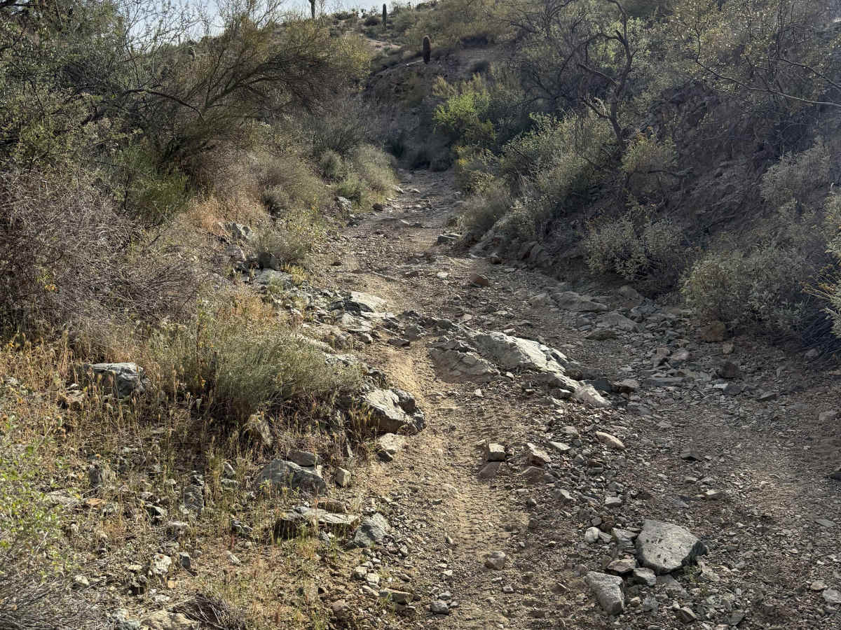 Trail 32022 photo 6