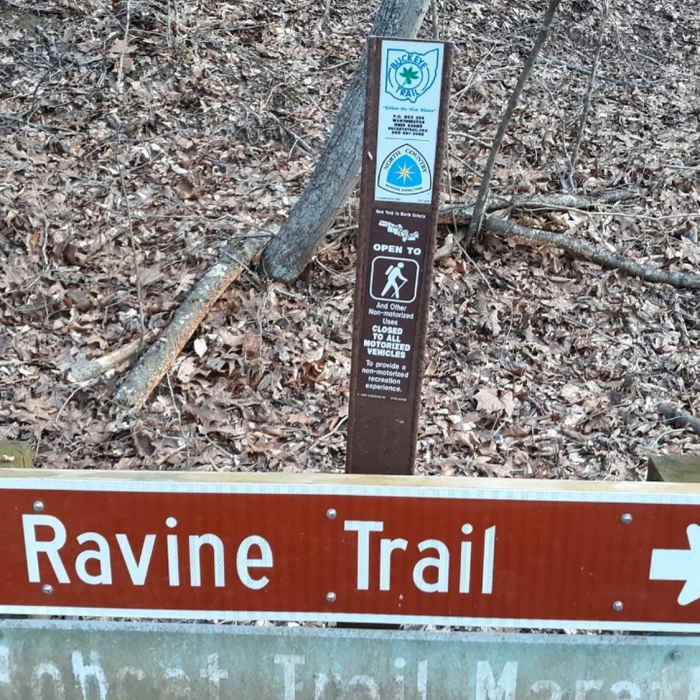 Ravine Trail Sign Near Ravine Trail