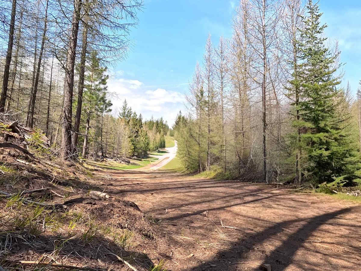N1660 trail photo