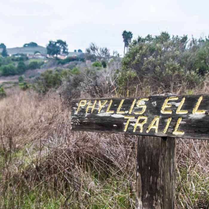 Near Ring Mountain Loop