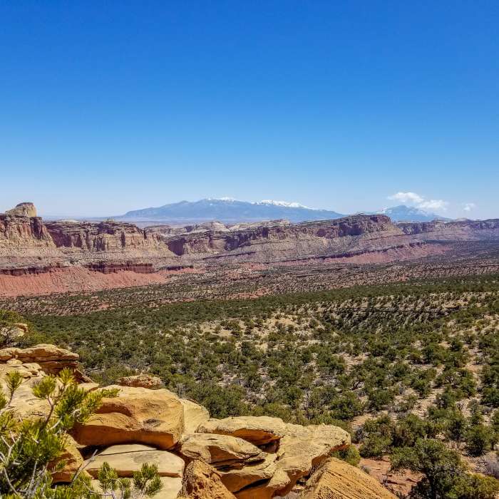 Near Old Wagon Trail
