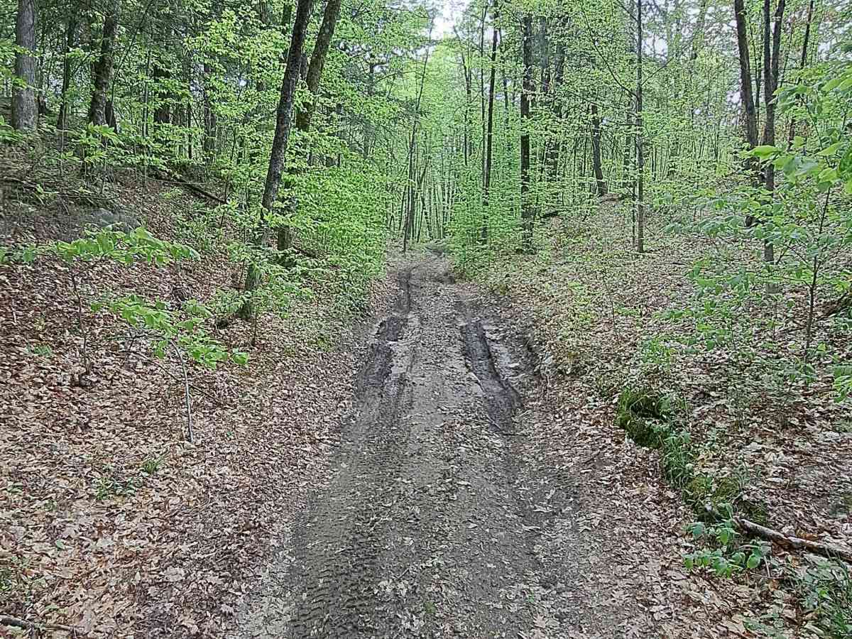 Podunk Road photo 5