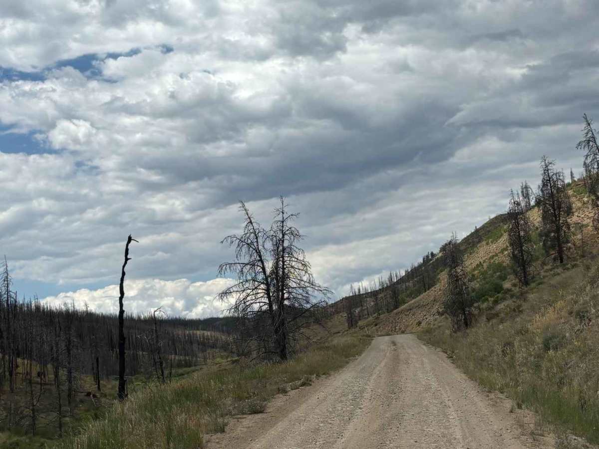 Bill Miller Trailhead Access Road photo 5