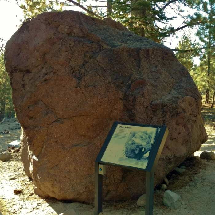 Near Devastated Area Trail