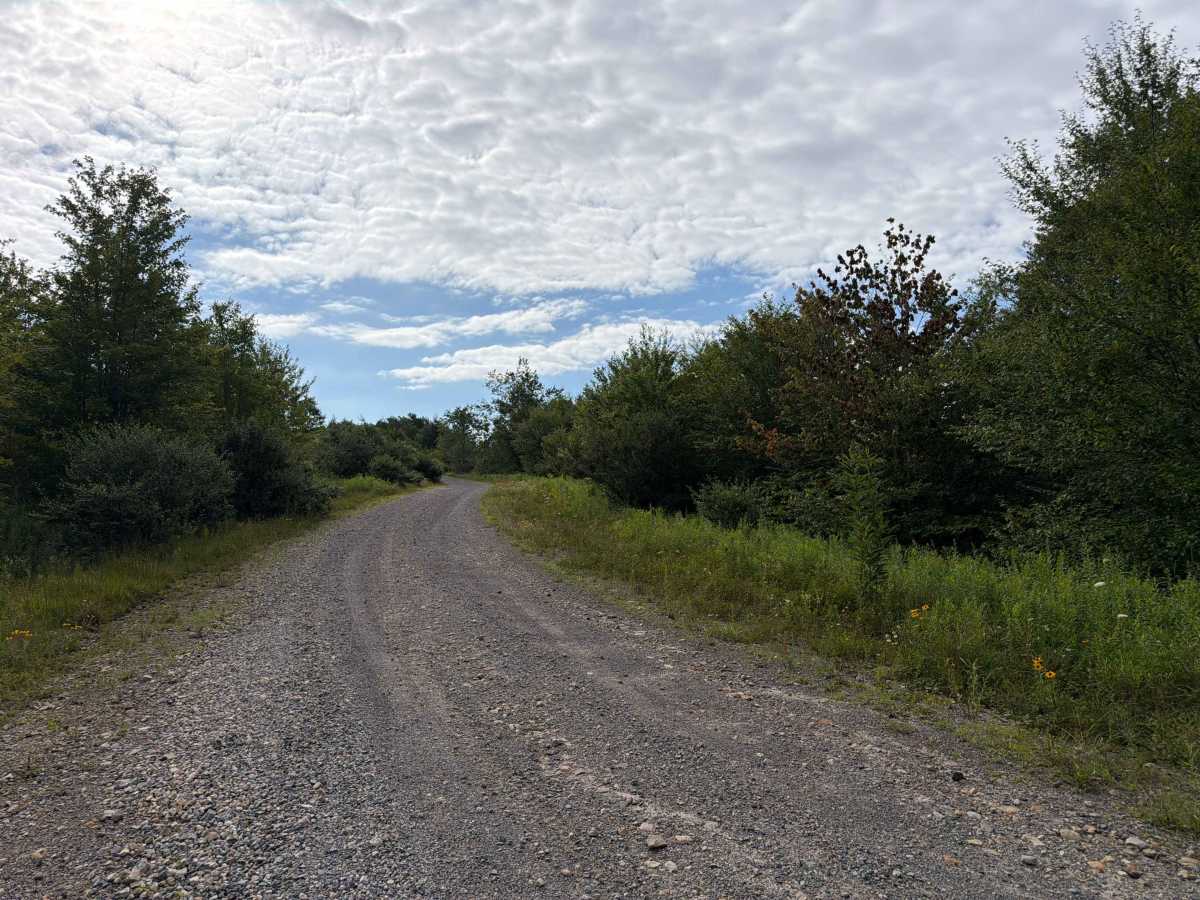 South Fork Cherry Road photo 4