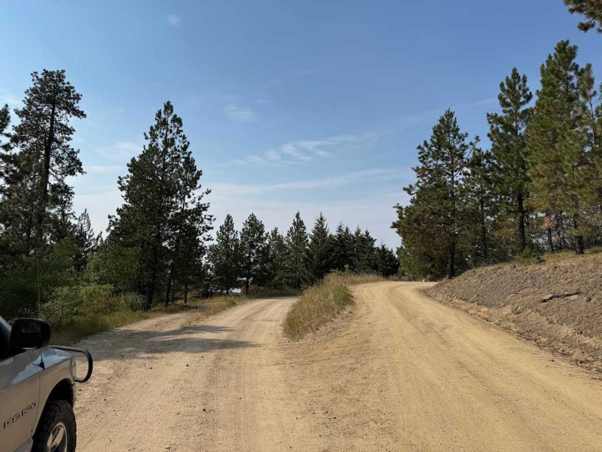 Gold Creek photo 2