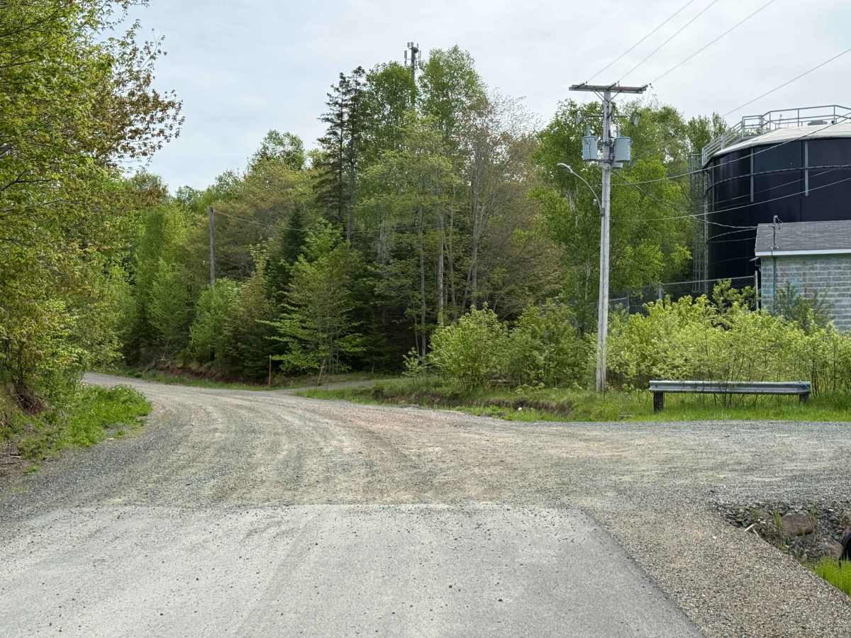 Whycocomagh Mountain Road Trail trail photo