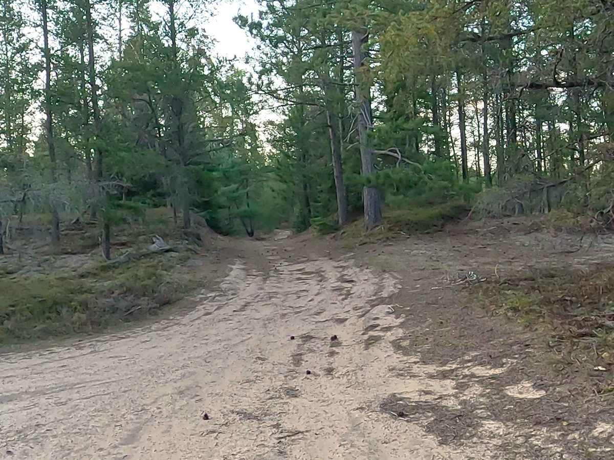  W Byrd Road photo 4