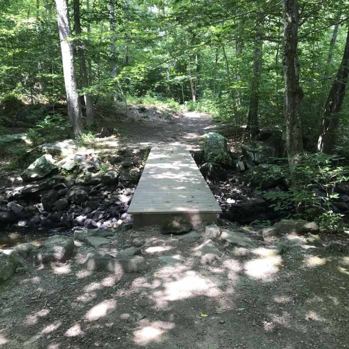 Bridge over Iron Stream. Near Red Dot