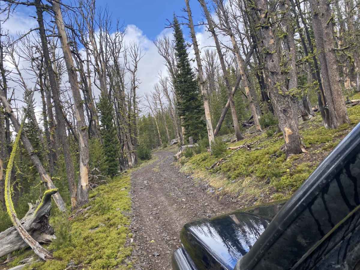 Skyline Mine Trail photo 3