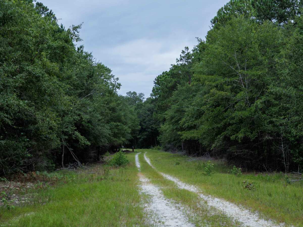 Briarpatch Lake Access photo 3
