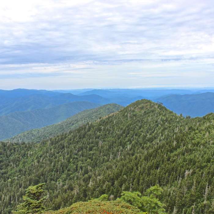 Near Mount LeConte via Alum Cave Trail Near Mount LeConte via Alum Cave Trail