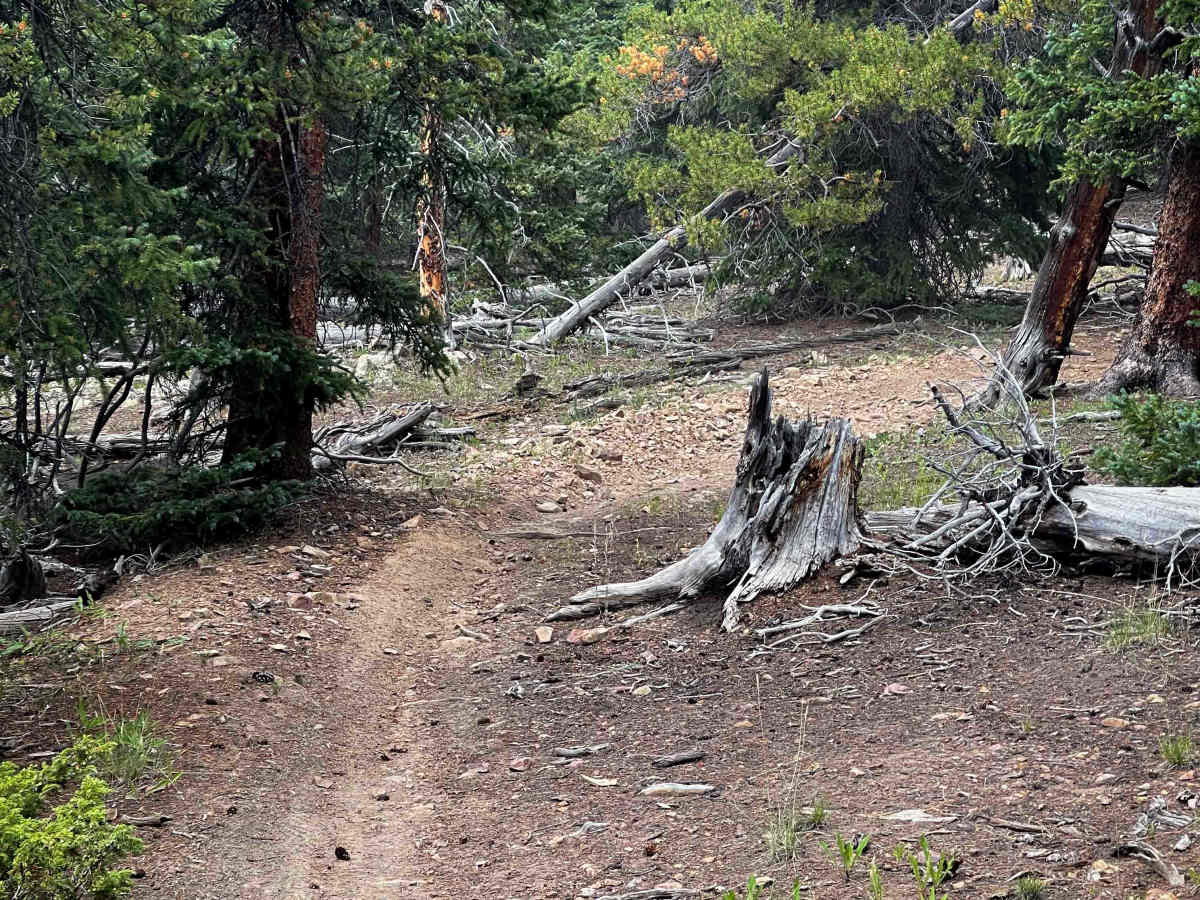 Browns Pass Trail #739  photo 5