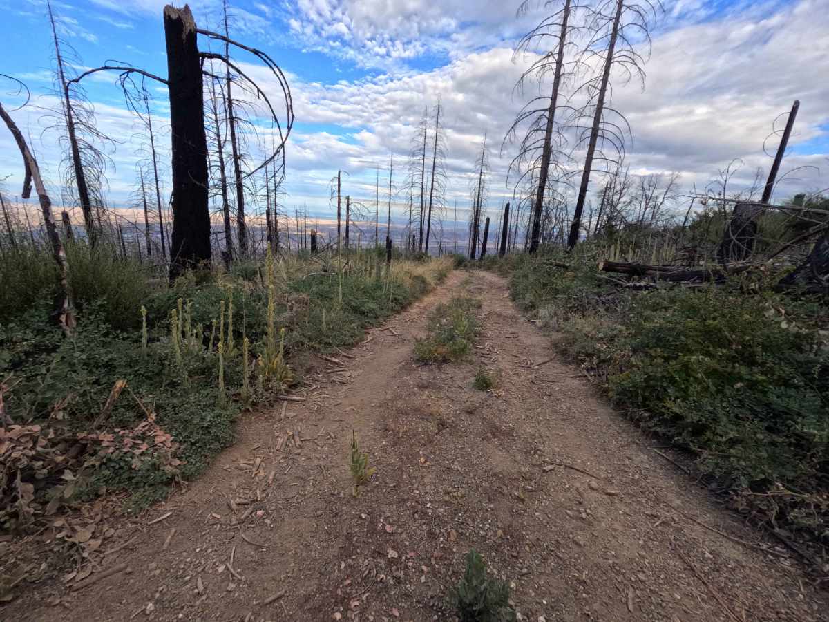 Tool Cache Ridge - FS 20N64 trail photo