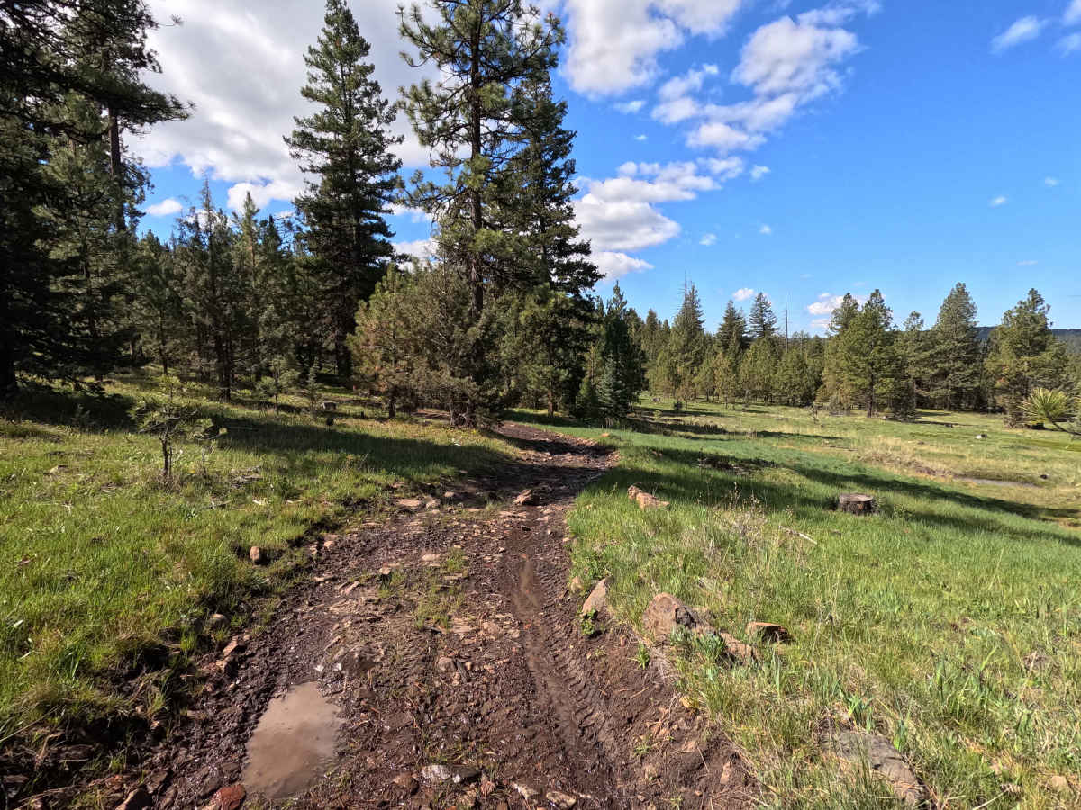 Meat Pole Trail - 54 photo 4