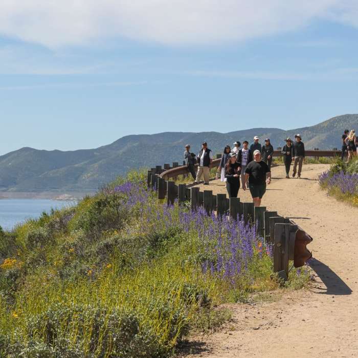 Near Wildflower Trail