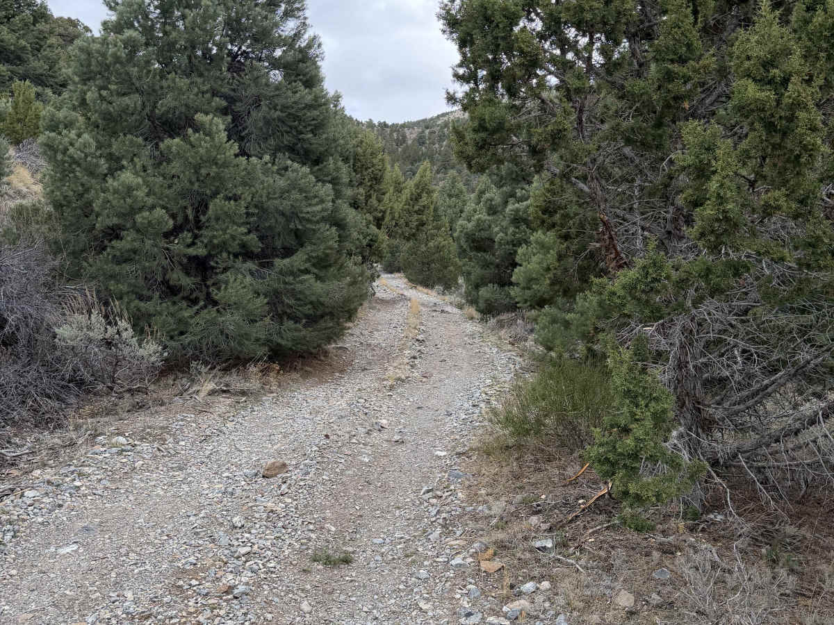 Miner's Canyon Road photo 6