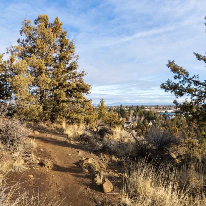 Near Sawyer Park to Sawyer Uplands Hike