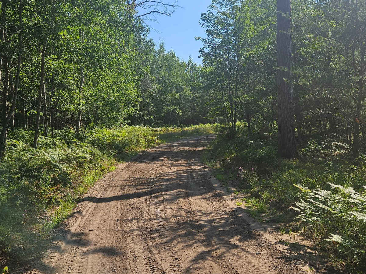 Dyer Lake Drive photo 2