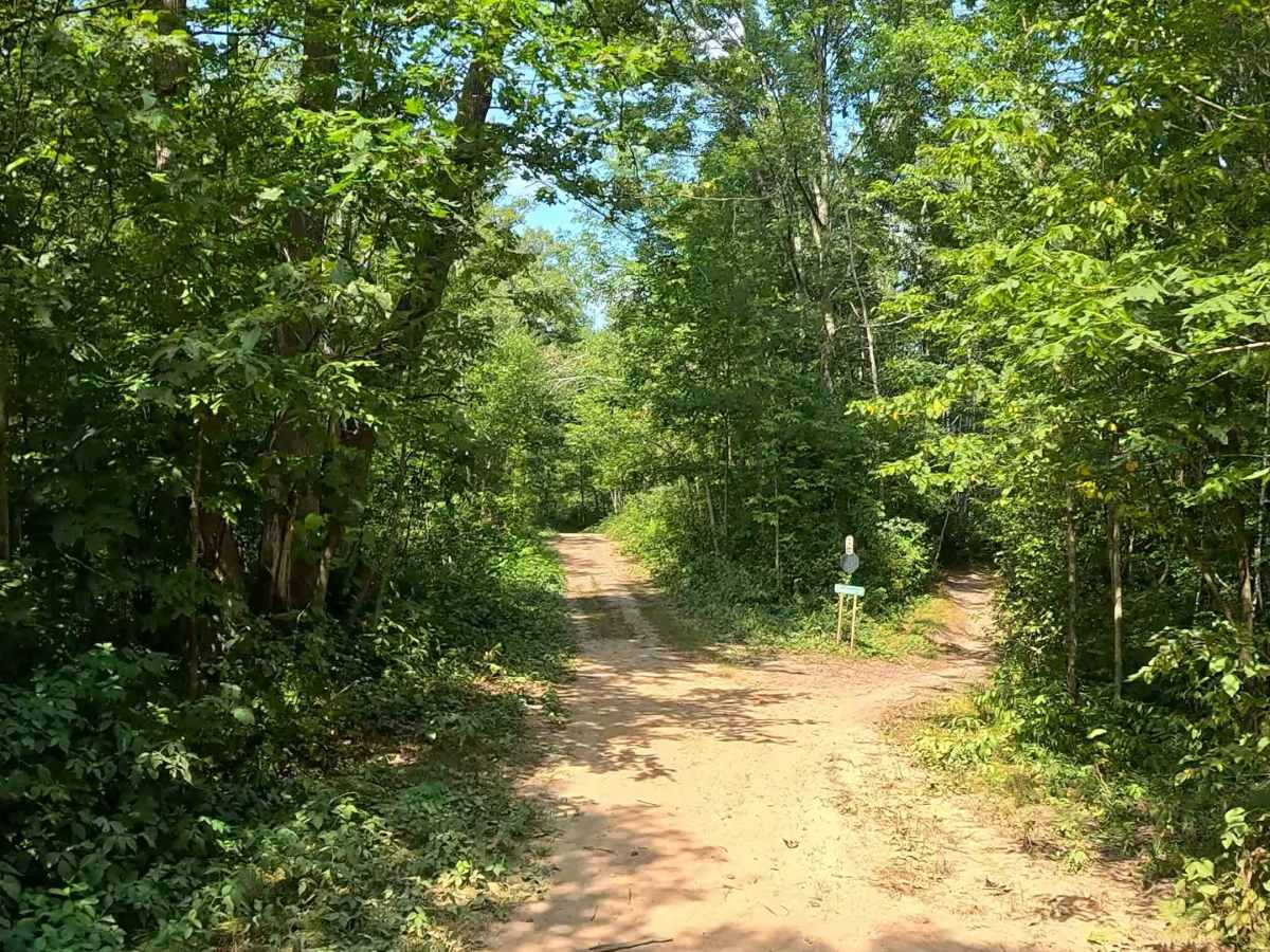 AlanDale Stem Trail photo 4