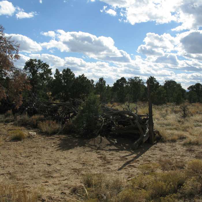 Near McCarty Trail