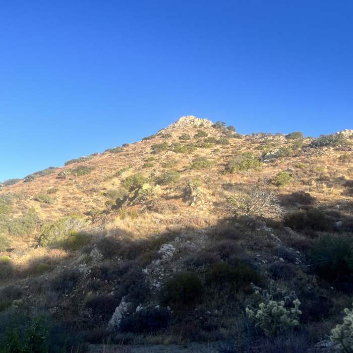 Near Warren Peak (Warren Point) via Black Rock Canyon