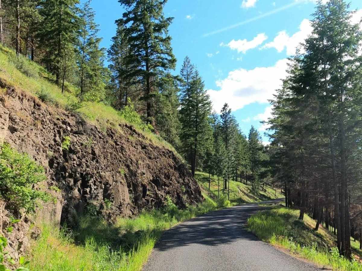 Bethel Ridge Road - NF1500 photo 3