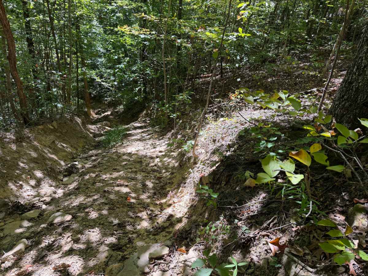 65 trail photo