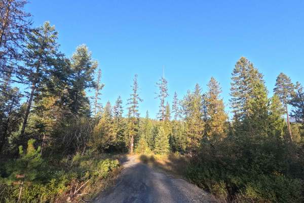 DNR Road E354024a