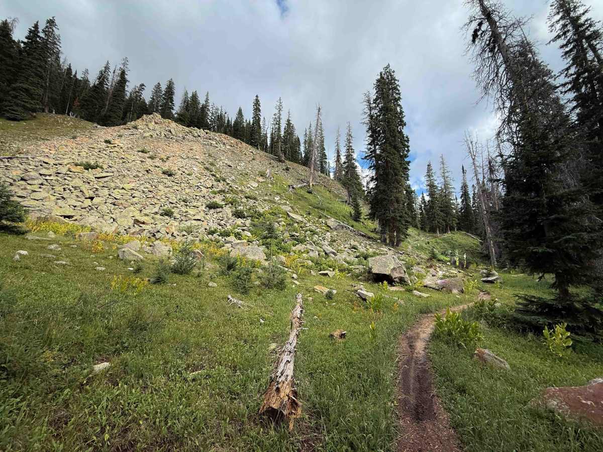 Johnny Bull - Trail 639  photo 2