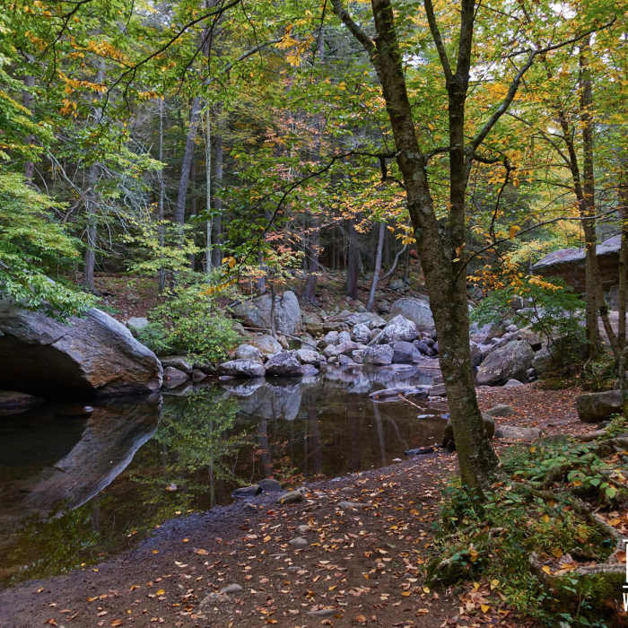 Near Pine Meadow Lake Loop