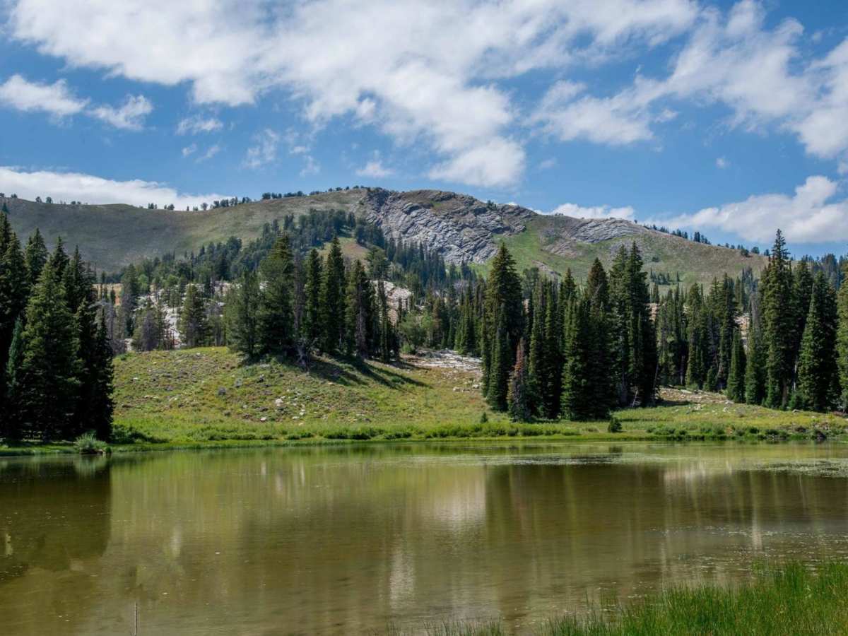 Gibson Lakes photo 2